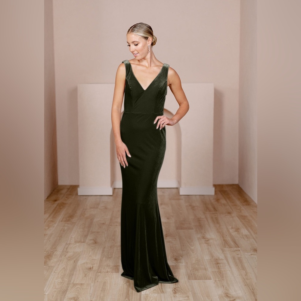 Revelry Dakota Velvet dress